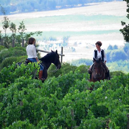 Castello Banfi - Il Borgo - Relais Et Chateaux Poggio alle Mura Exteriér fotografie